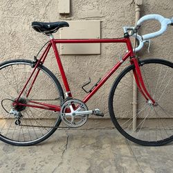 Trek 620 Road Bike Touring Suntour Cyclone 12 Speed Reynolds 531 Lightweight  This bike is fully tuned, dialed in and ready to ride, it does not need 