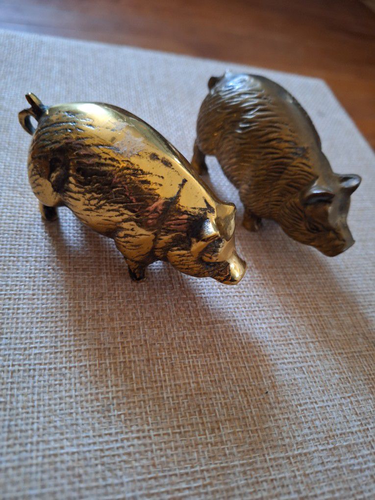 Brass Pigs