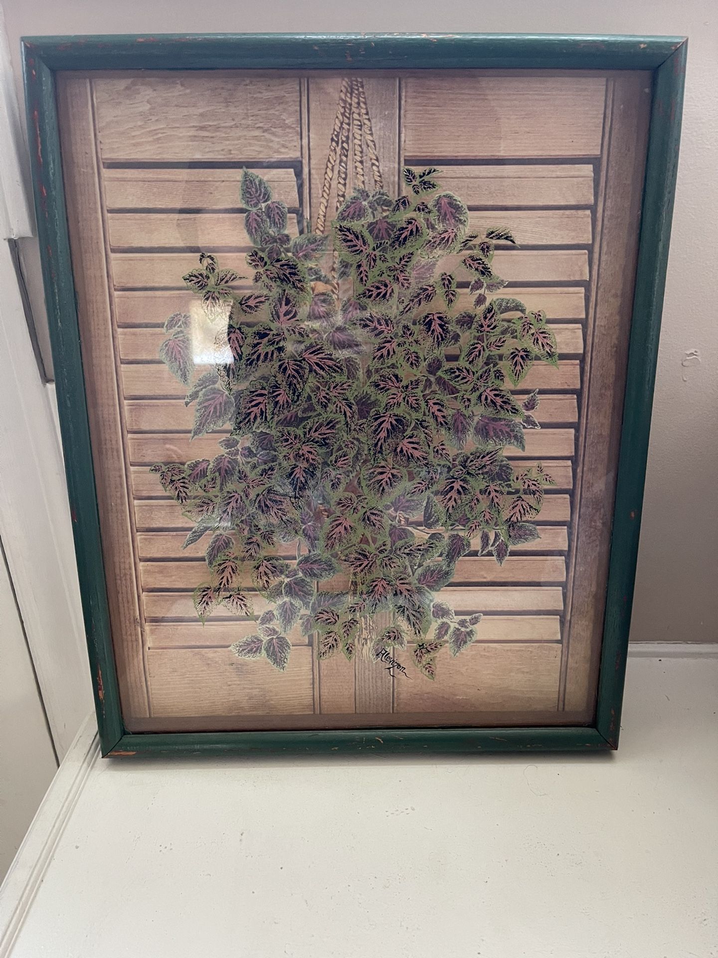 Lucid Lines Window Plants Vintage Oak Frame 1976