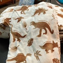 Twin Boys Sheets No Stains No Tips
