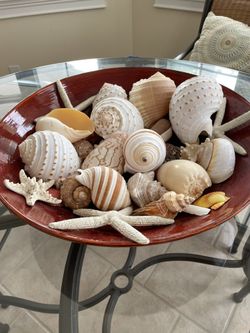 Centerpiece With Seashells 