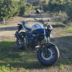 2020 Suzuki SV650 V-Twin