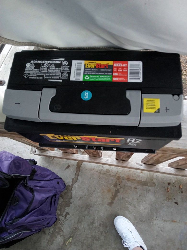 Everstart Battery
