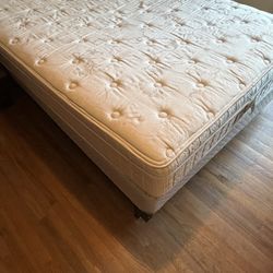 Free Queen Bed And mattress 