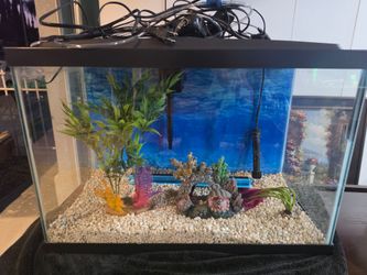 Fish Tank
