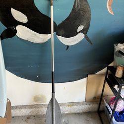 Boat Paddle 5’ Tall Approximately 