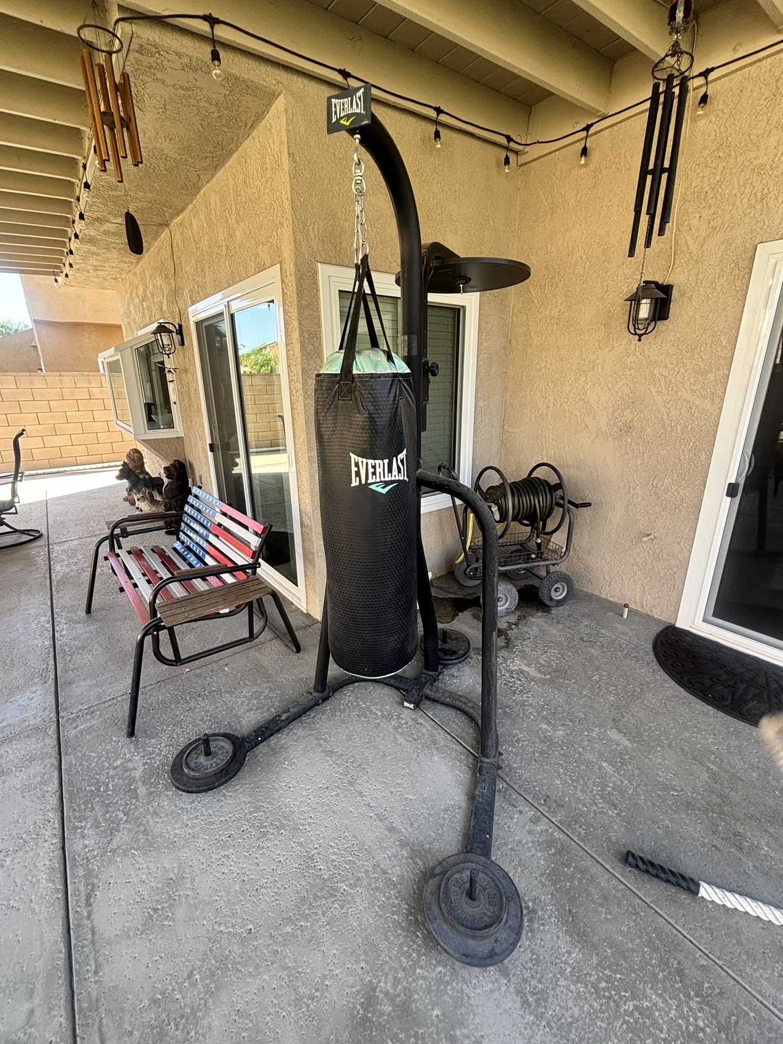 Everlast Punching Bag/speed Ball Combo