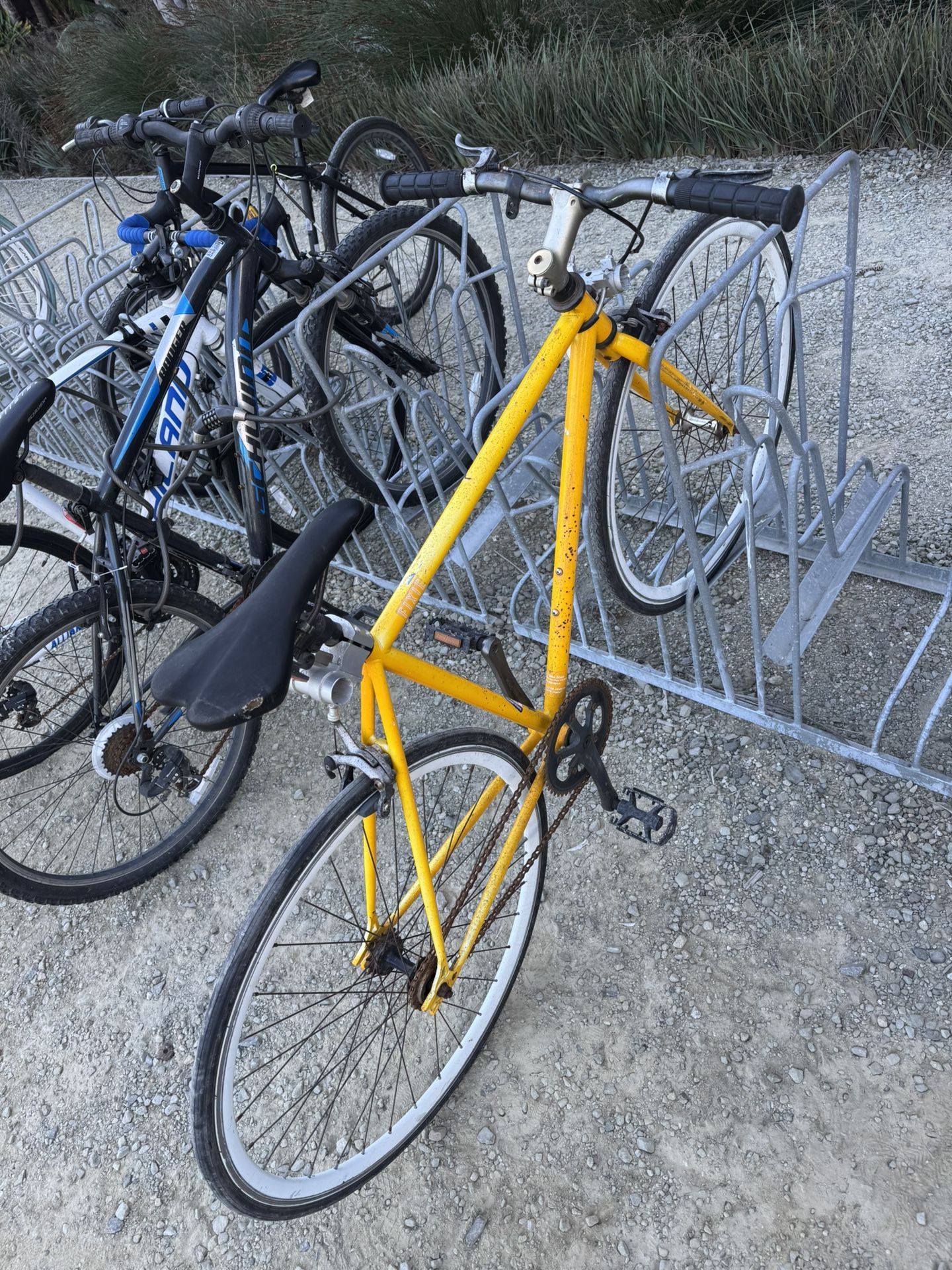Harper Fixie Bike - Single Speed