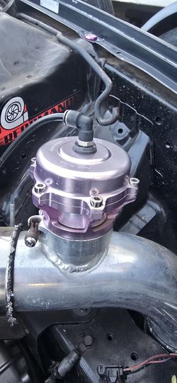 Tial Bov