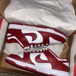 Men’s Nike Dunks Size 9.5 