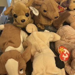 Ty Puppies Collection 