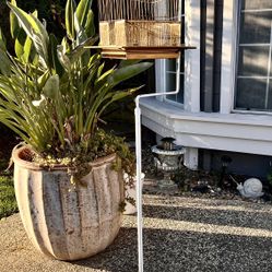 Vintage Brass Bird Cage With Stand