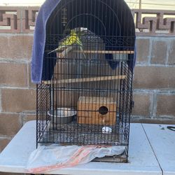 Large Bird Cage