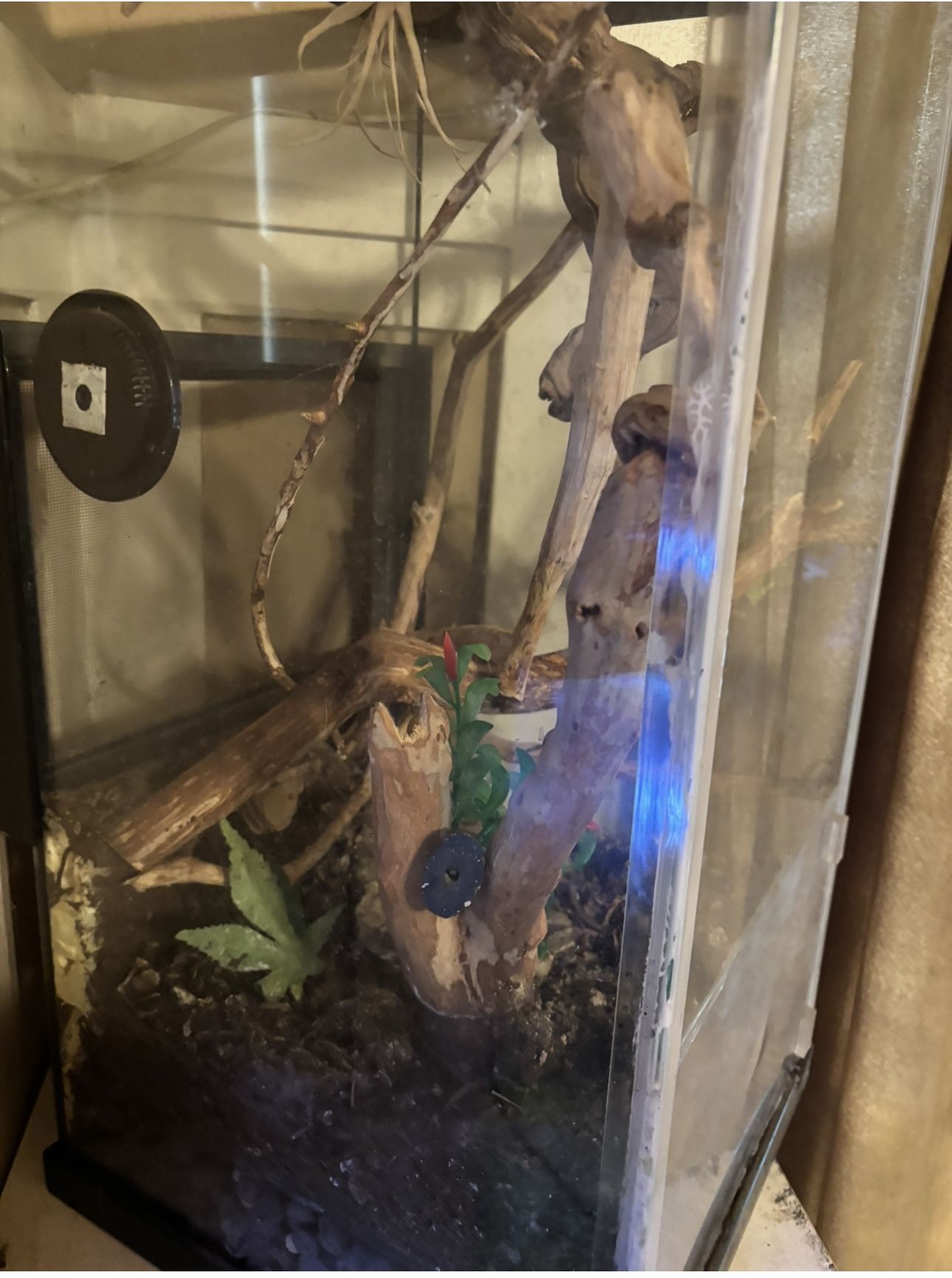 Reptile/frog Terrarium