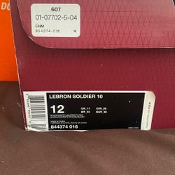 LeBron Soldier 10