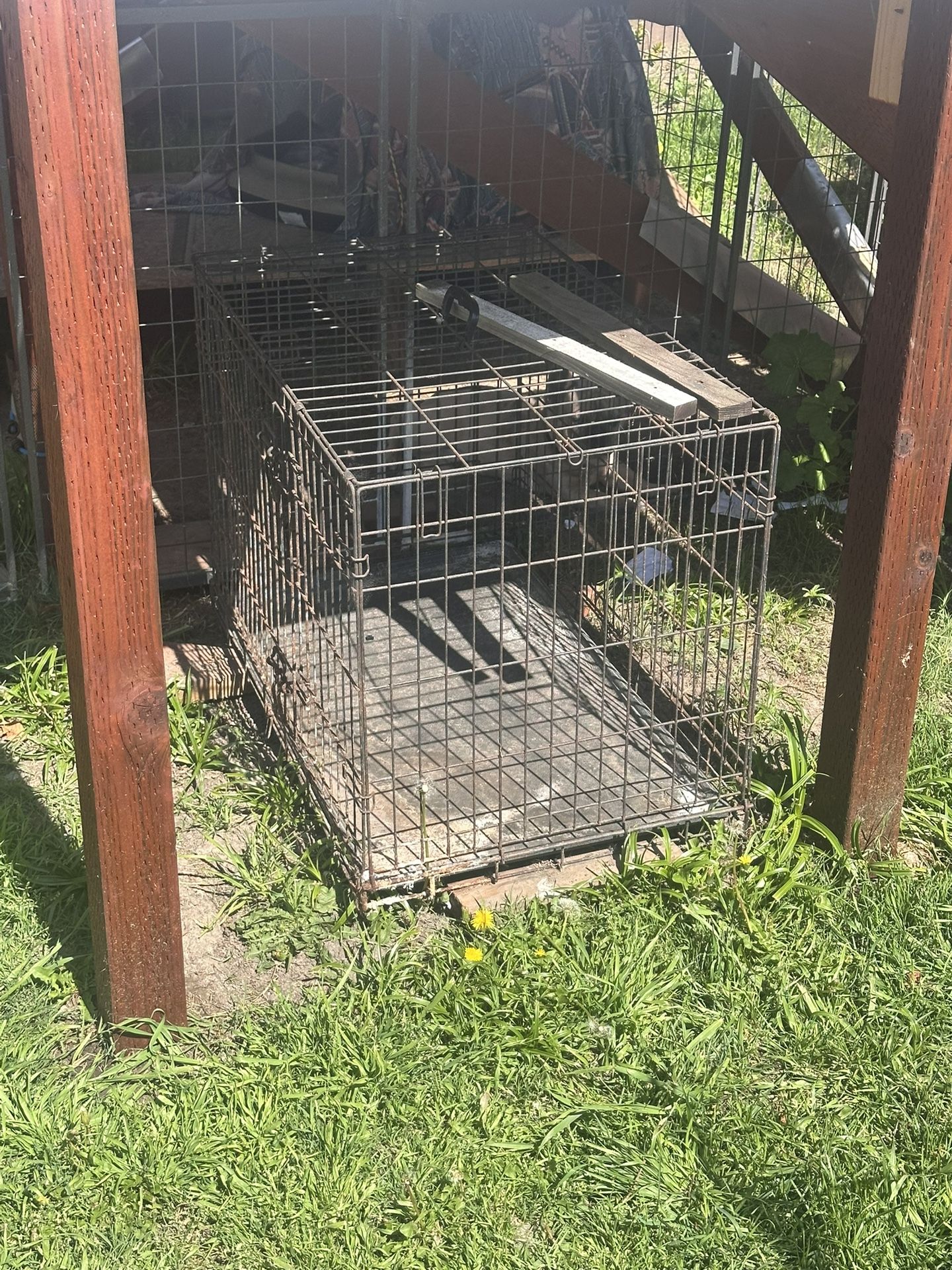 Dog Crate 