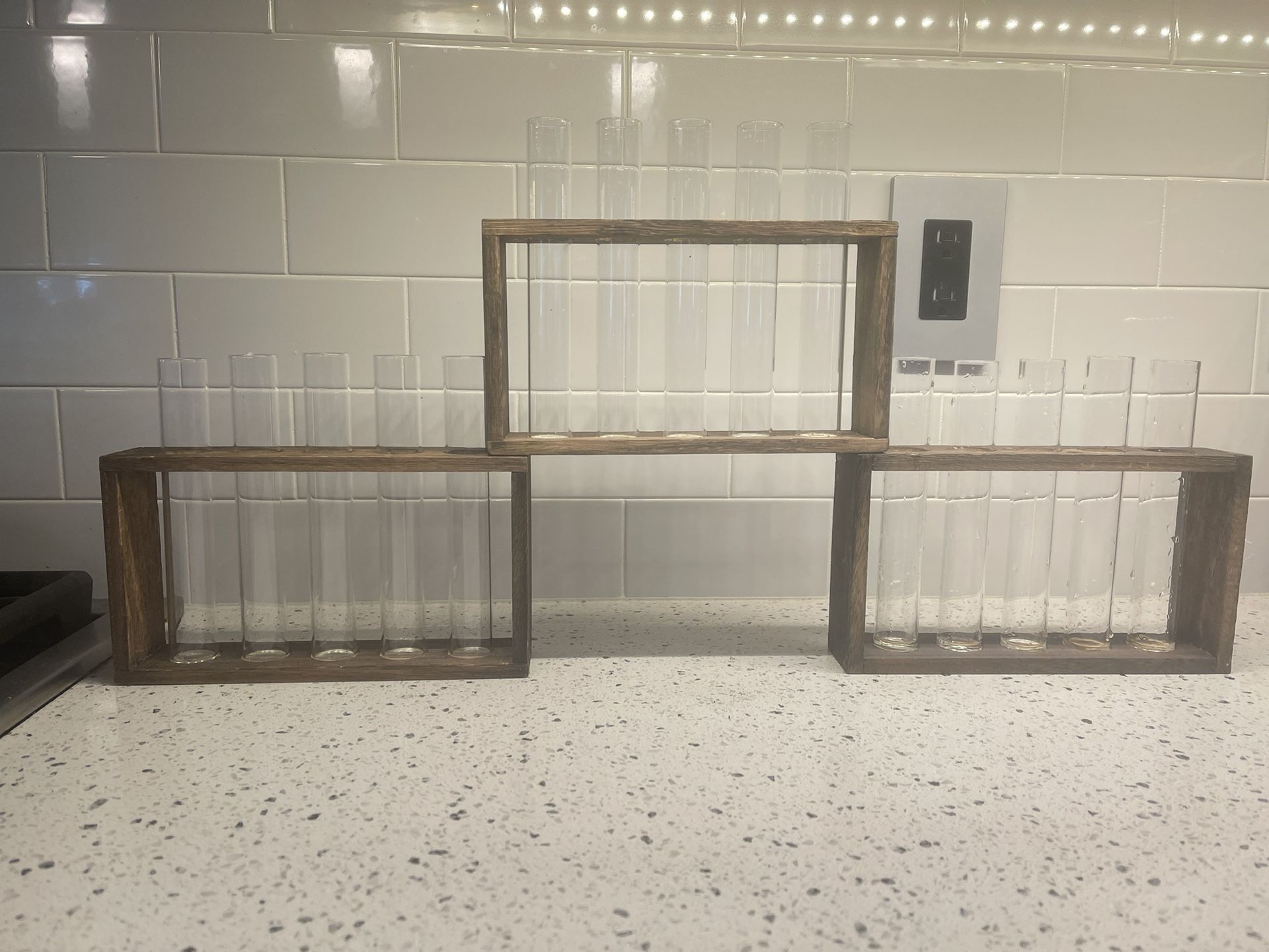 Test Tube Plant Cuttings Holder