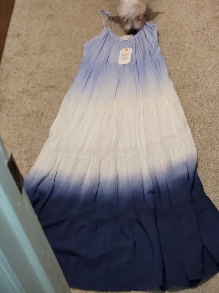$25 Brand New Dress