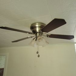 Ceiling Fan