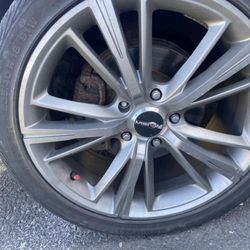 Rims 18