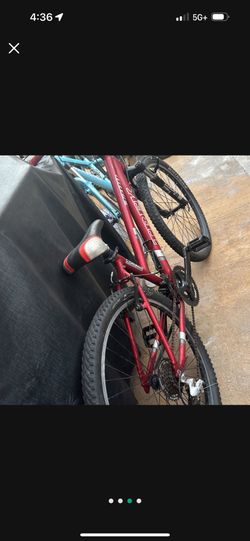 Bicycle Track