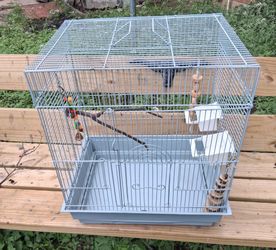 Bird 🐦 cage