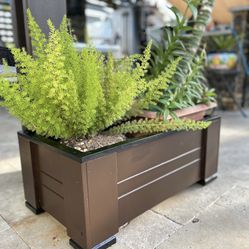Wooden planter for plants