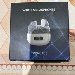 Wireless earphones
