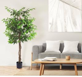 6ft Tall Artificial Ficus Tree Topiaries Tree with Pot for Outdoor and Indoor Décor (1 PC)