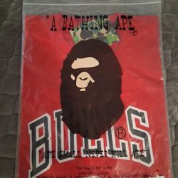 Bape Bulls T Shirt XXL BRAND NEW