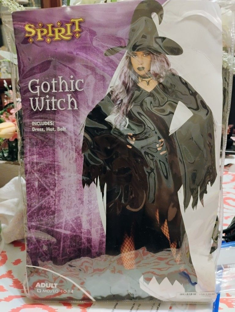 Halloween Costume Adult Gothic Witch