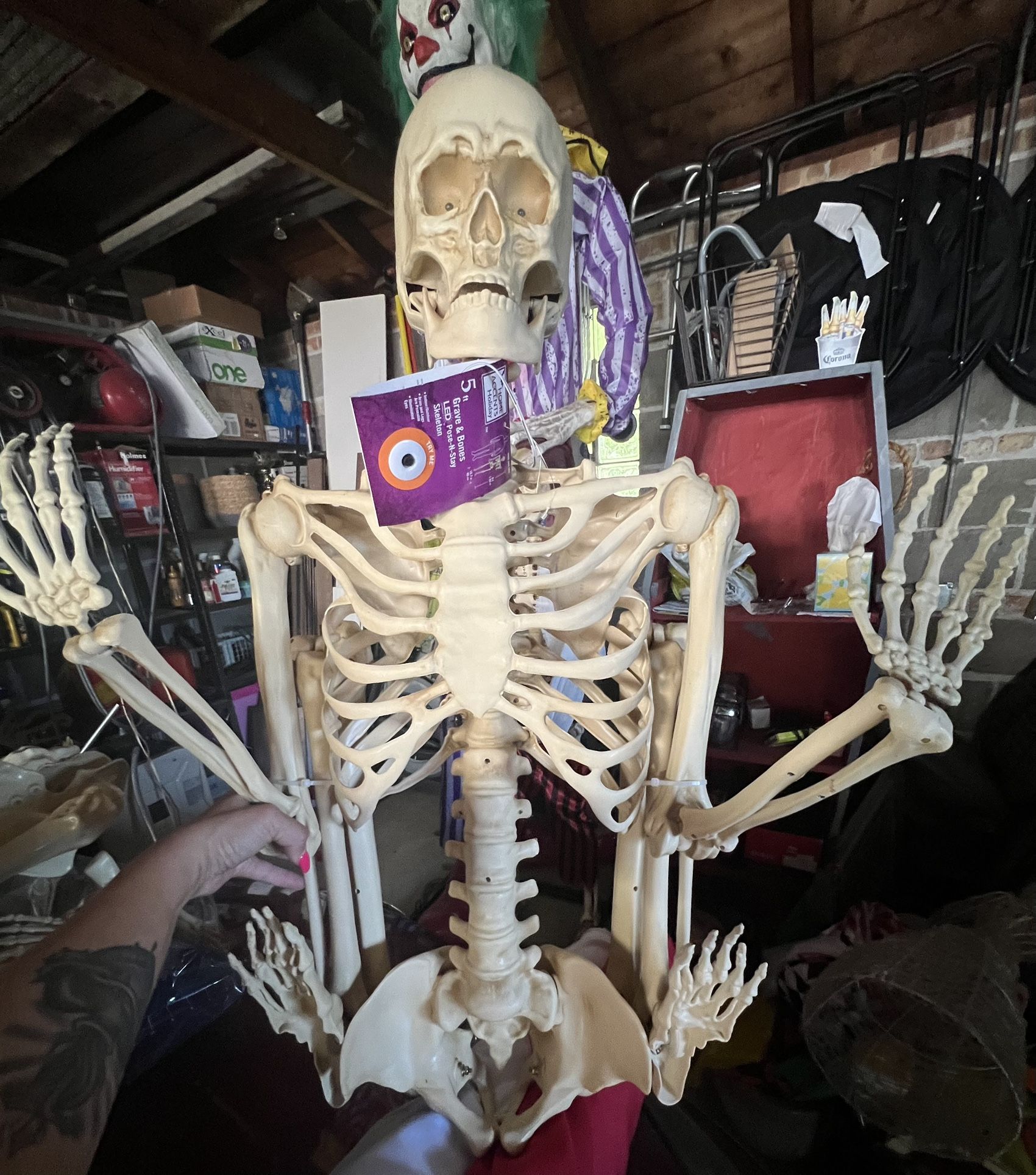 Halloween NWT 5 ft. Grave & Bones LED Skeleton 