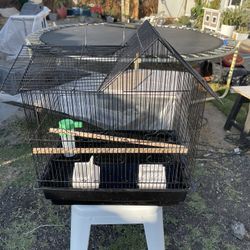 Bird Cage