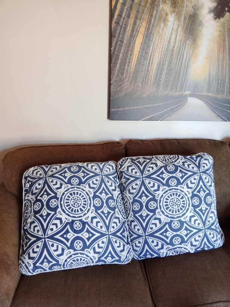 Large Couch Pillows (2)