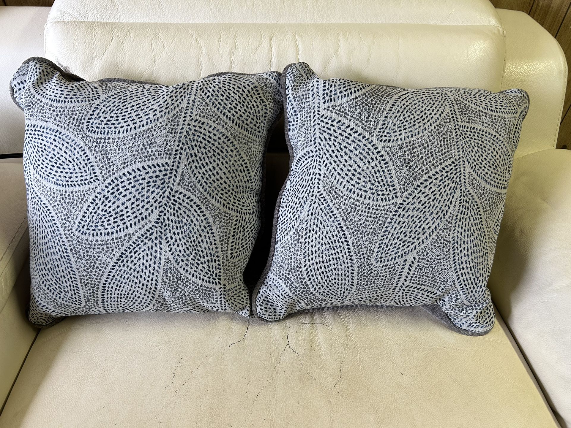 2 Throw Pillows Couch