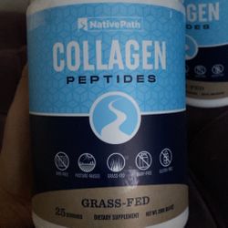 Collagen Powdered 