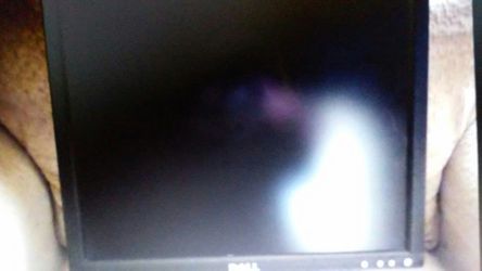 Dell 17" Flat Screen Monitor