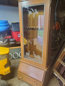 Gun safe