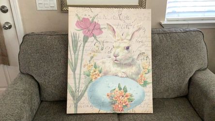 Bunny picture