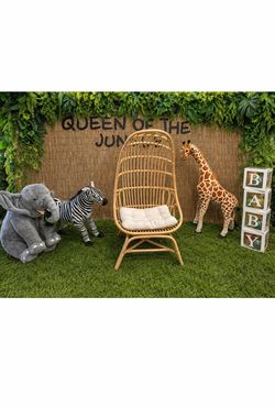 Rattan Egg Chair with Cushion