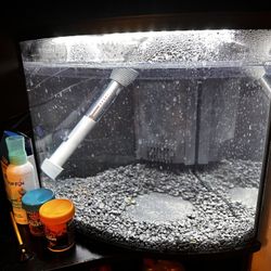 6.5 Gallon Corner Fish Tank