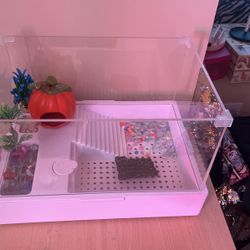 Turtle Or Crab Tank.  $40