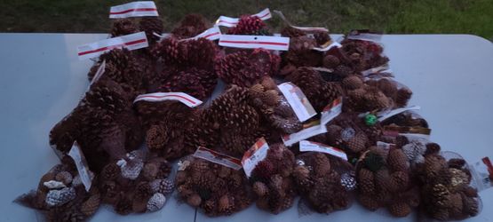 Scented Pine Cones Large & Small Bags New Christmas Crafts