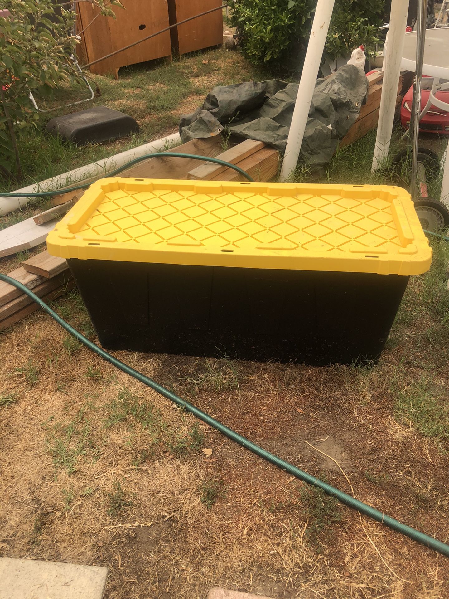 Container
