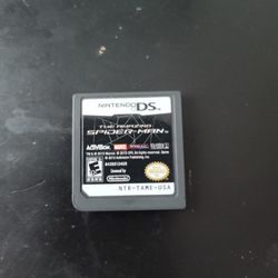 Nintendo DS Games