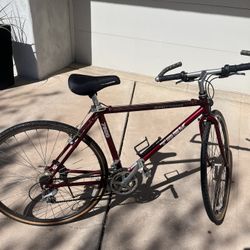 Trek Bike