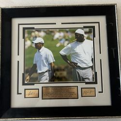 Michael Jordan/Tiger Woods Plaque
