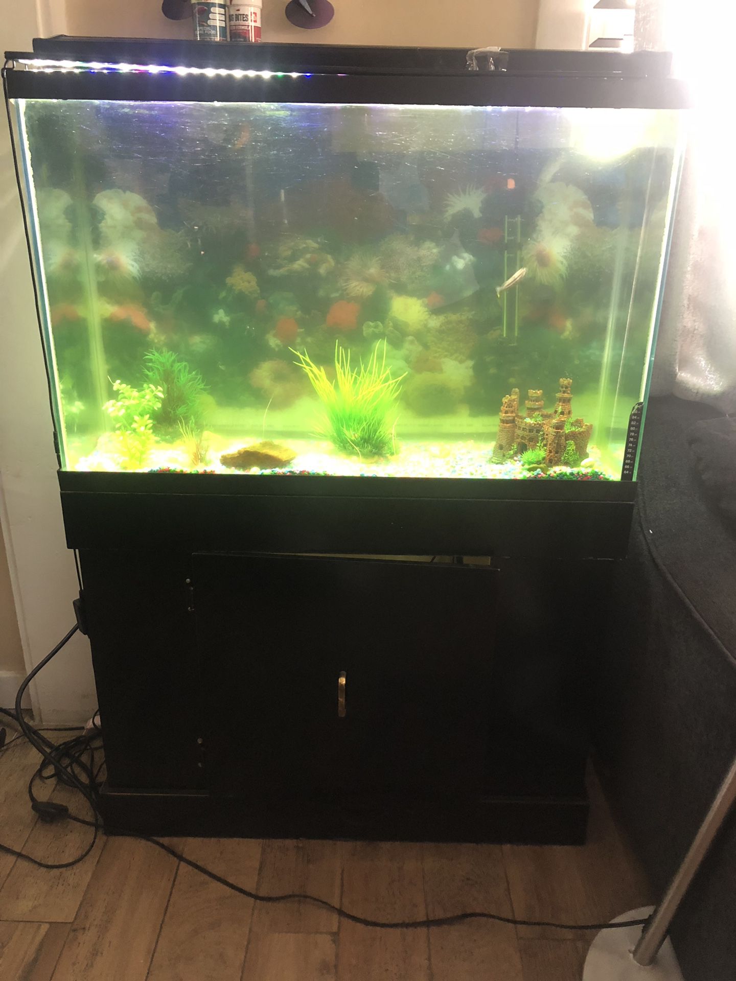 65 gallon fish tank