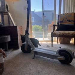  NineBot G30LP KickScooter MAX