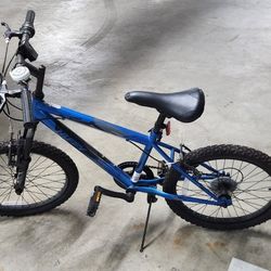 20 Inch 7 Speed Kids Bicycle